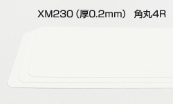 シナップスXM230（厚0.2mm）