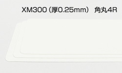 シナップスXM300（厚0.25mm）